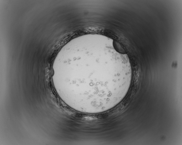 X0000115000749200911231204