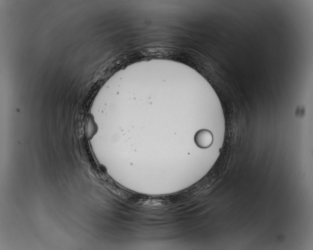 X0000115000751200911231204