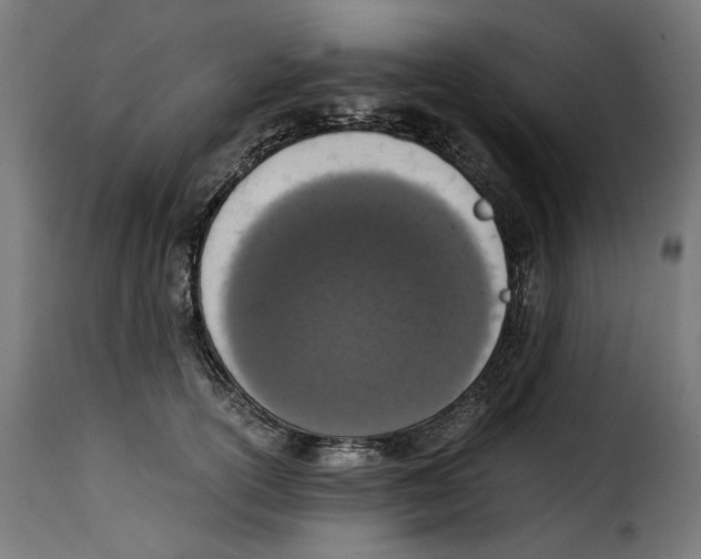 X0000115000754200911231204