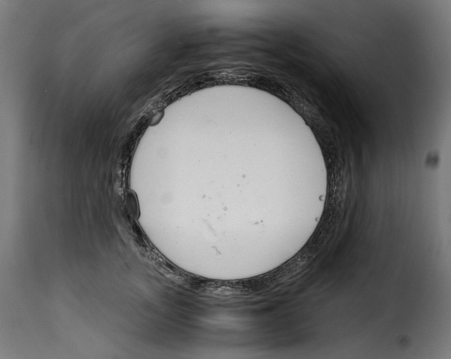 X0000115000755200911231204