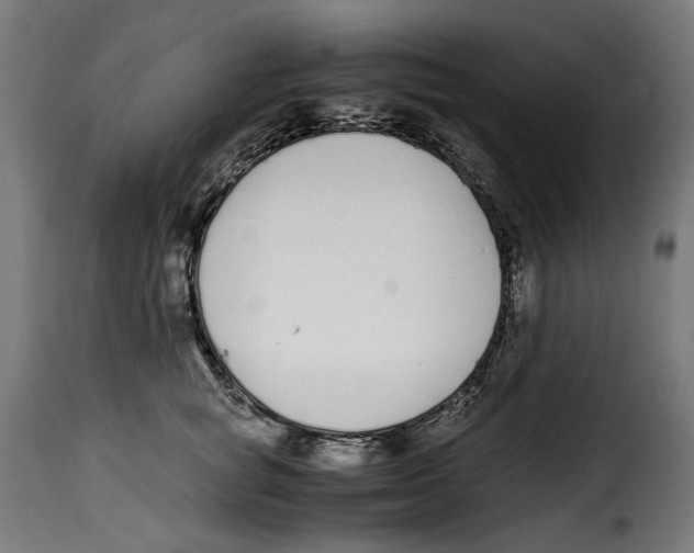 X0000115000757200911231204