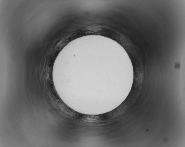 X0000115000758200911231204