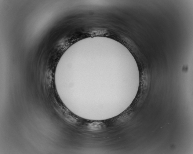 X0000115000761200911231204