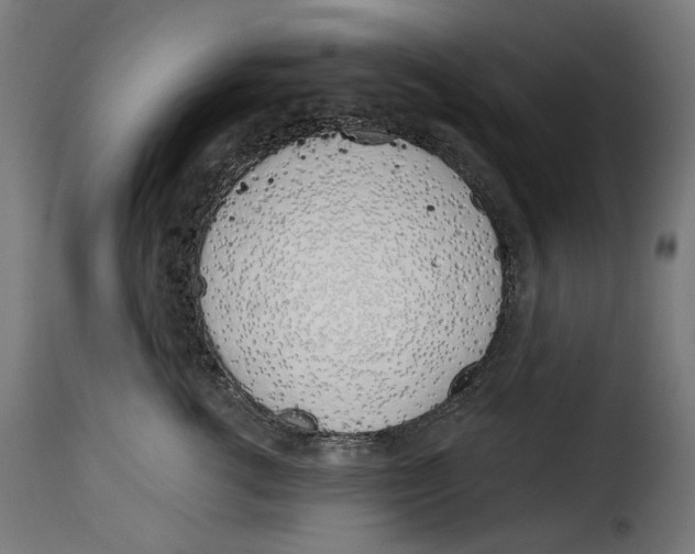 X0000115000762200911231204