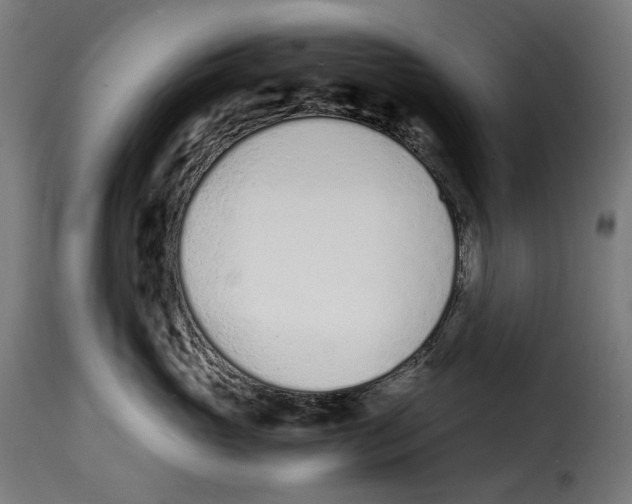 X0000115000765200911231204