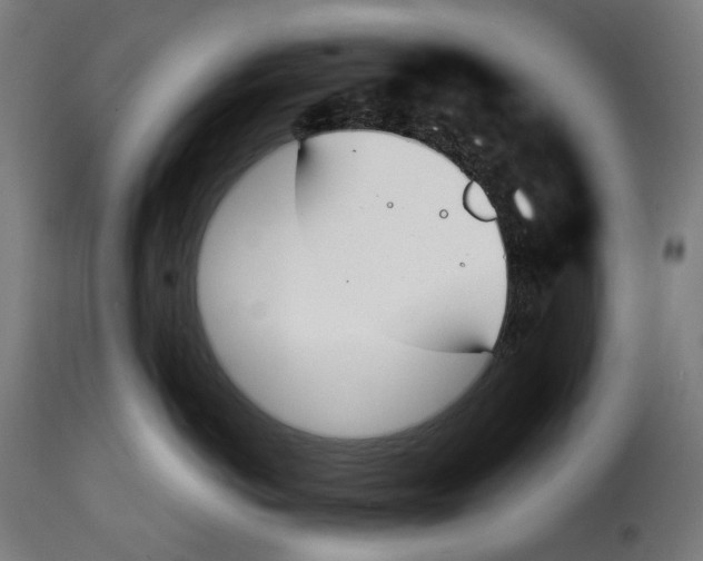 X0000115000766200911231204