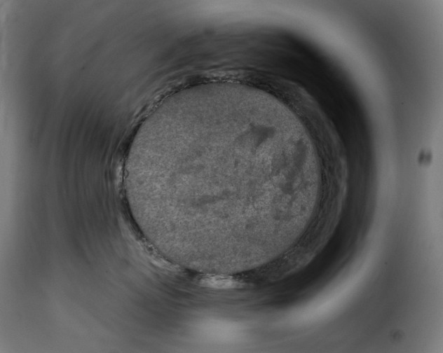 X0000115000767200911231204