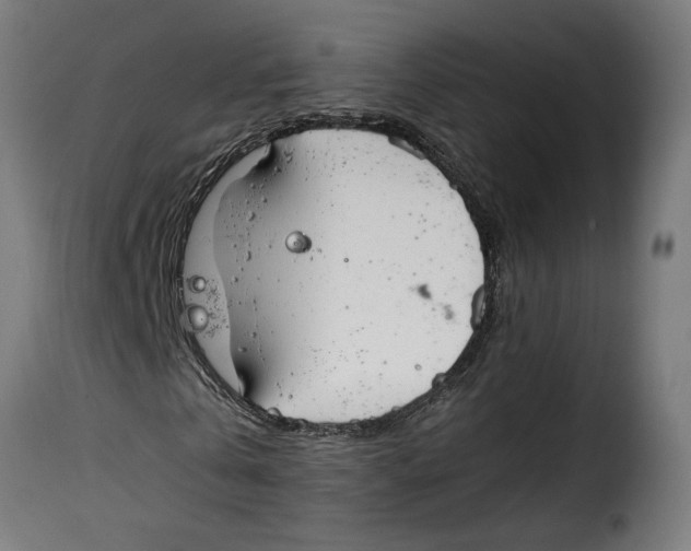 X0000115000769200911231204