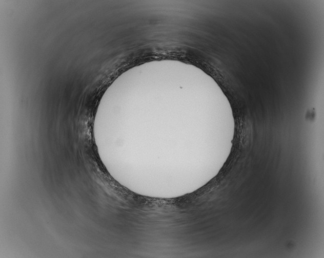 X0000115000770200911231204