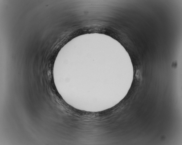 X0000115000771200911231204