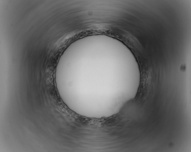 X0000115000773200911231204