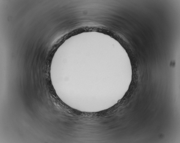 X0000115000775200911231204