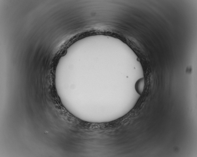 X0000115000776200911231204