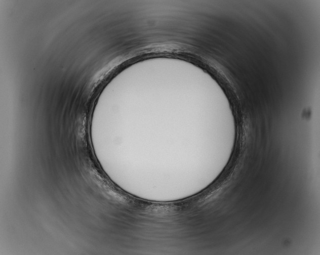 X0000115000778200911231204