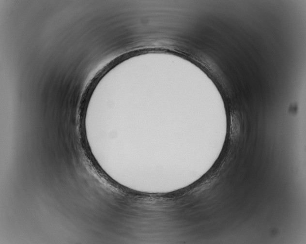 X0000115000780200911231204