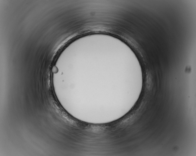 X0000115000782200911231203