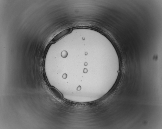 X0000115000786200911231203