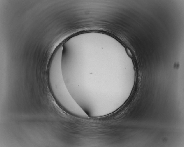 X0000115000789200911231203