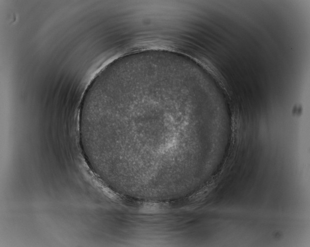 X0000115000790200911231203