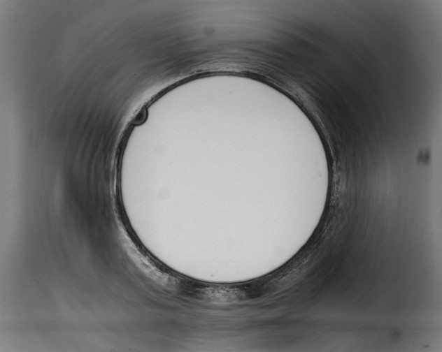 X0000115000795200911231203