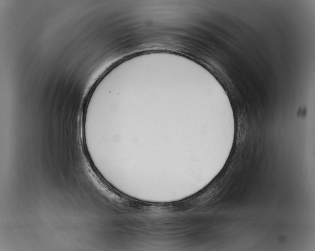 X0000115000796200911231203