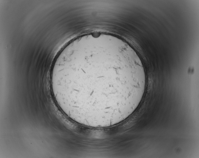 X0000115000798200911231203