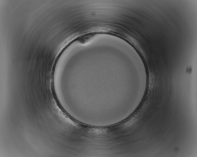 X0000115000802200911231203