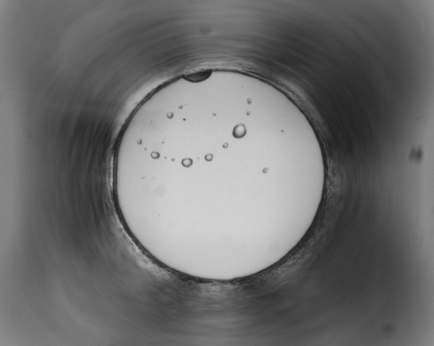 X0000115000804200911231203