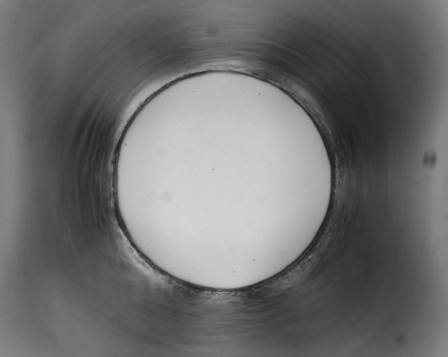 X0000115000808200911231203