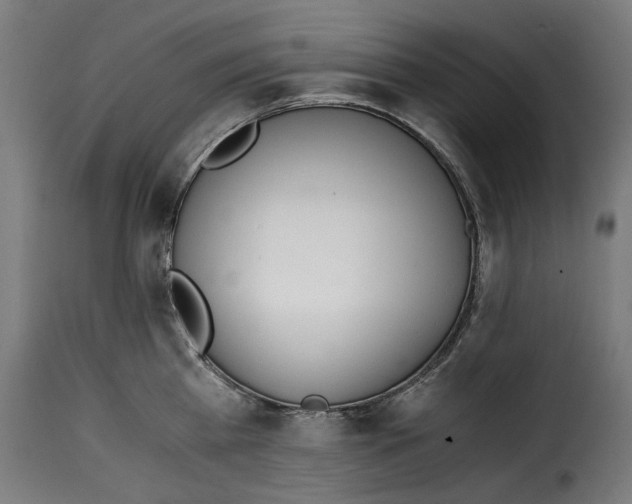 X0000115000809200911231203