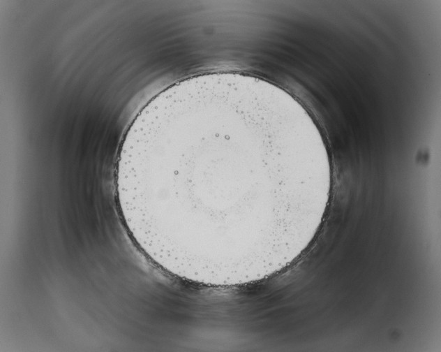 X0000115000810200911231203