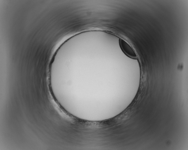 X0000115000811200911231203