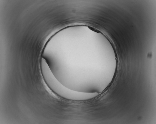 X0000115000813200911231203