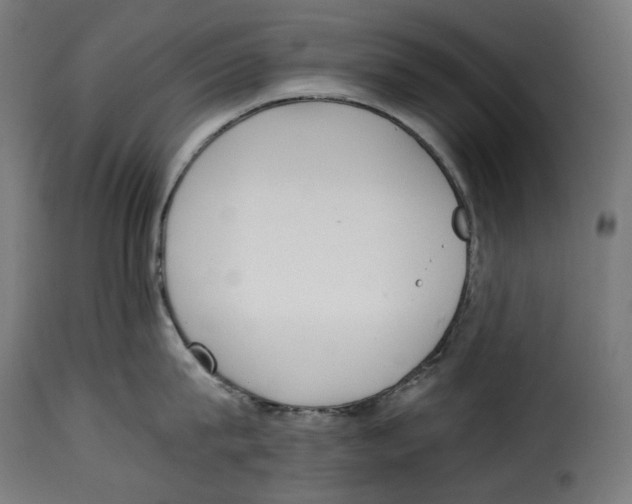 X0000115000815200911231203