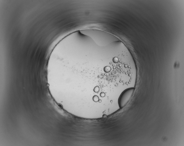 X0000115000816200911231203