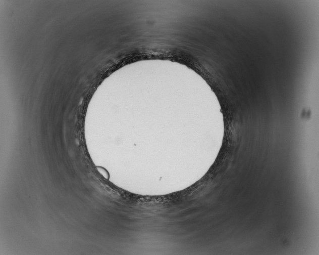 X0000115000817200911231202