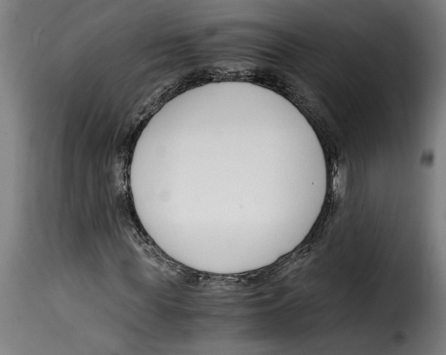 X0000115000819200911231202