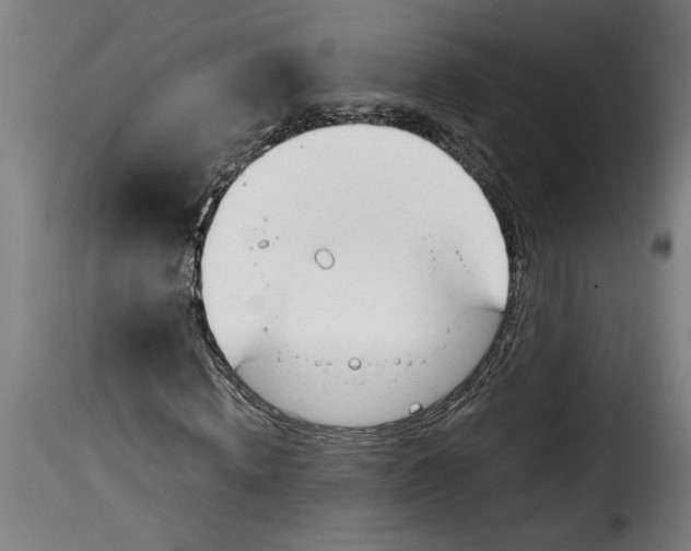 X0000115000820200911231202