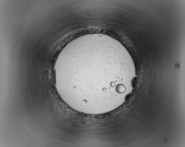 X0000115000821200911231202