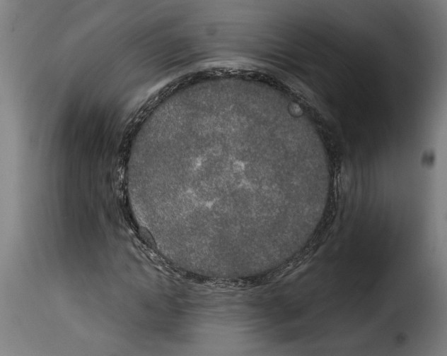 X0000115000822200911231202