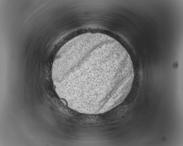 X0000115000823200911231202