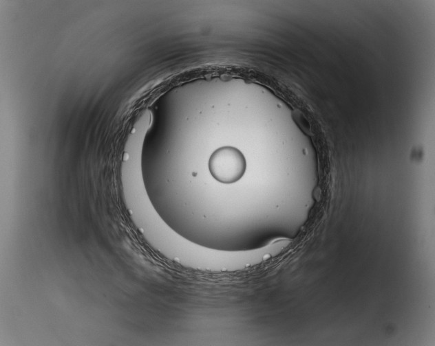 X0000115000824200911231202