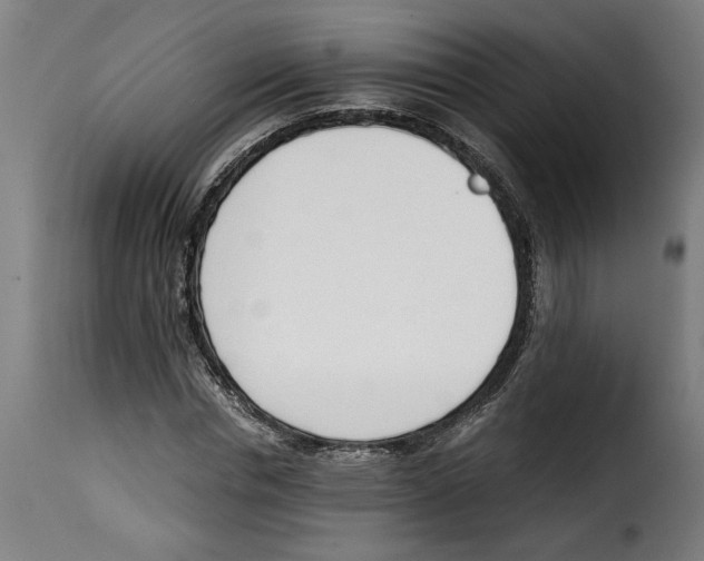 X0000115000826200911231202