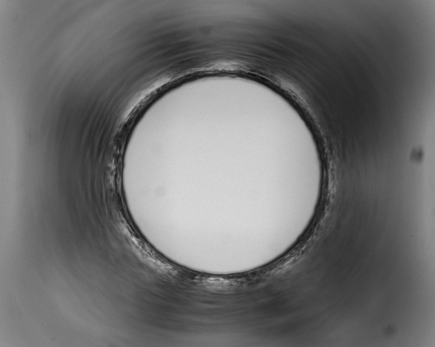 X0000115000827200911231202