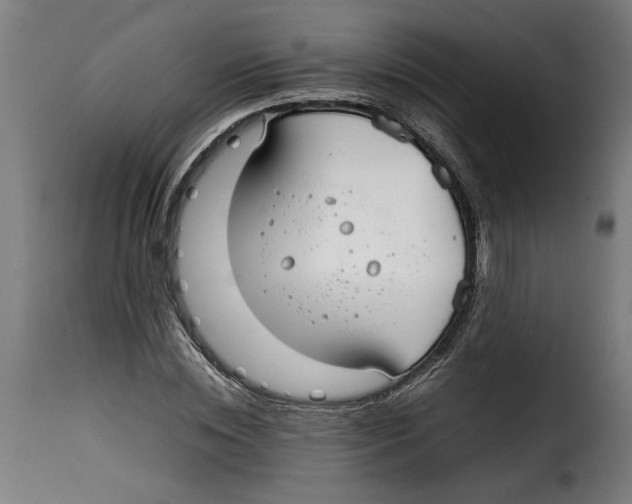 X0000115000828200911231203