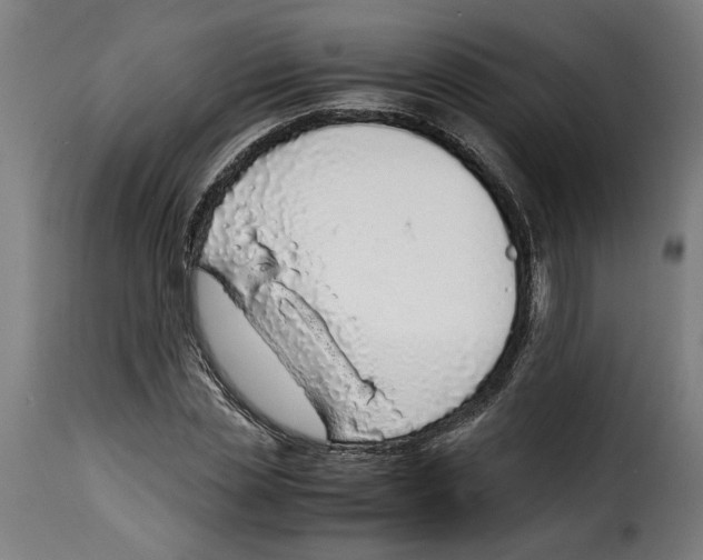 X0000115000829200911231203