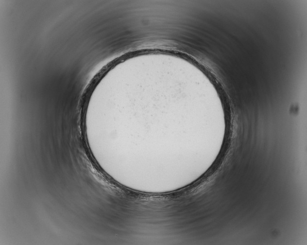 X0000115000830200911231203