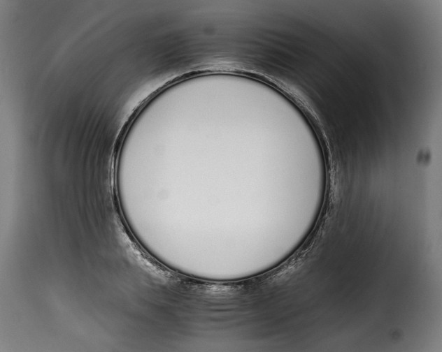 X0000115000839200911231203