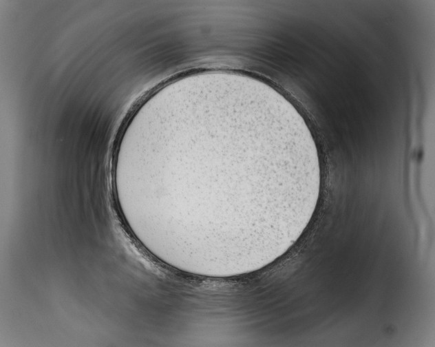 X0000115000840200911231203