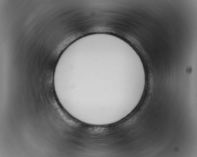 X0000115000841200911231203